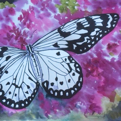 (CreativeWork) Butterfly joy by Hilde Marsh. Watercolour. Shop online at Bluethumb.