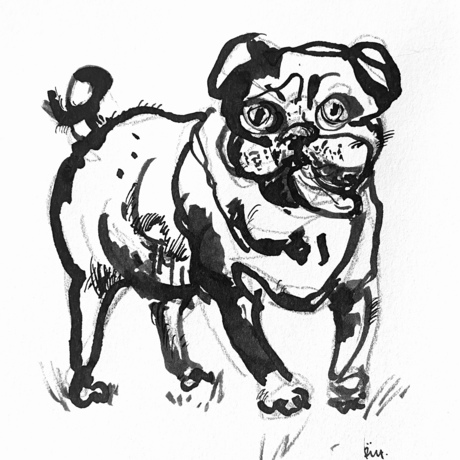 A dog portrait in black ink - one off hand drawing on paper