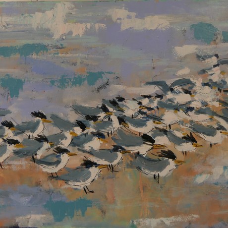 Terns on windswept beach