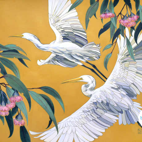 Two white egrets in flight against a golden yellow background. The scene is framed by boughs of native Australian Princess Gums in bloom.