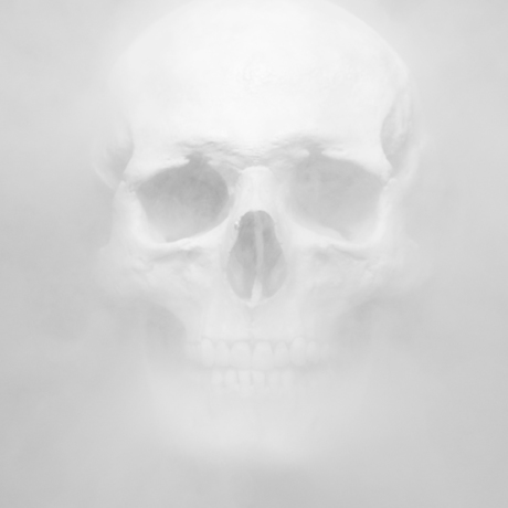 A human skull appearing through a veil of smoke - black and white inkjet print