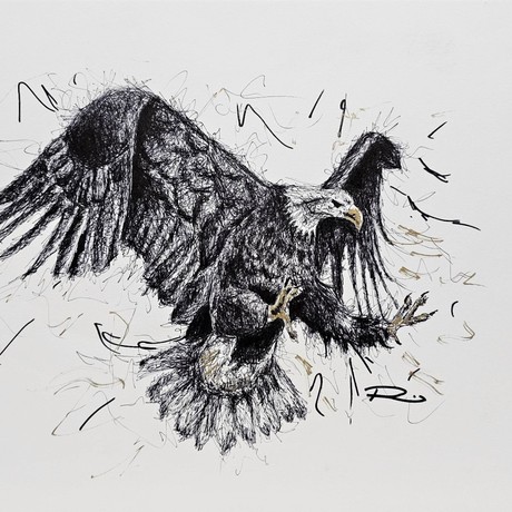 Mixed media drawing of an eagle in flight. Long expressive lines bringing life to the bird. 