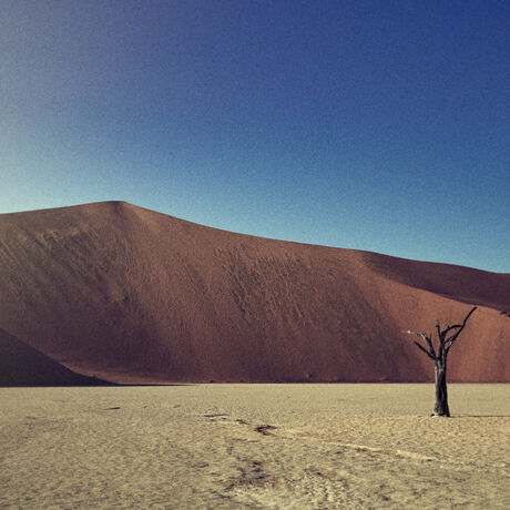 
Dead Vlei near Sossusvlei in the the world famous dunes area of Namibia. In English Dead Vlei means Dead Marsh. Available in other sizes.
