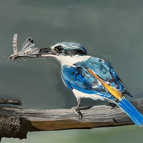 Red backed kingfisher, acrylic on canvas 61 cm by 91.4 cm