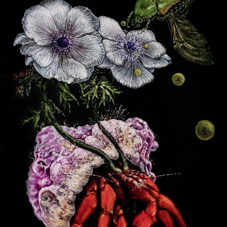 Composition of hermit crab scarab and anemone flower with a dramatic background 