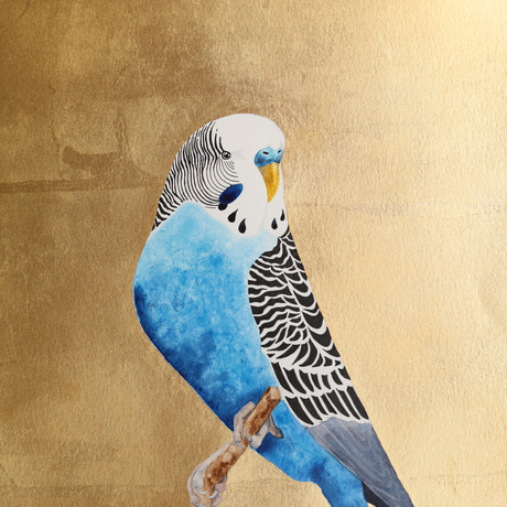 Blue budgerigar perched on gold background