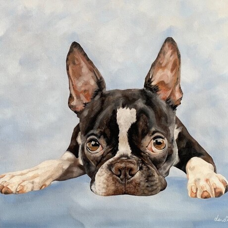 Painting of a Boston Terrier with big  puppy dog eyes lying down with a light blue background.