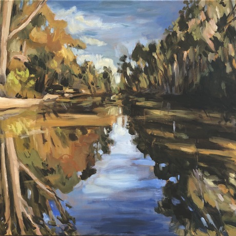 The creek reflects the Australian bush