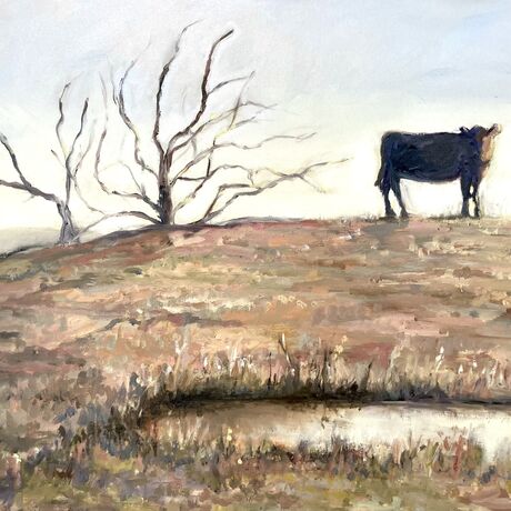 A black solitary cow standing on top of a hill next to a dead tree