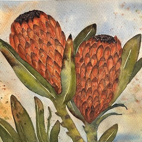 Two Red Proteas with green leaves on a mottled background of blue orange and green