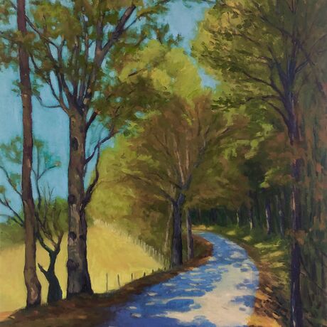 A country road with dappled shade,  lined with leafy green trees disappearing into  the distance.
