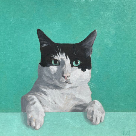 The bust and paws of a black and white cat, looking directly at the viewer, the background matching it's mint-green eyes.