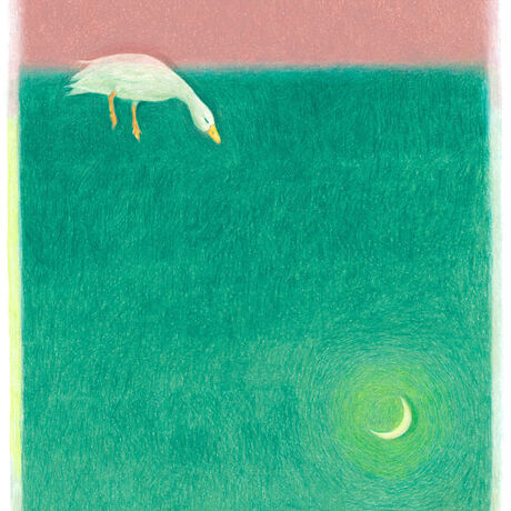 A duck swimming between two large bands of colour, one pink and one green, with a glowing crescent moon floating in the middle