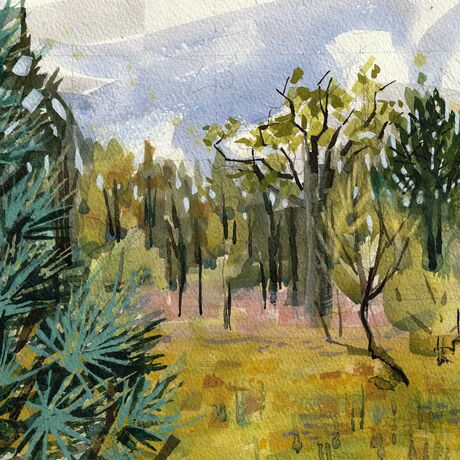 An arid meadow dotted with native Australian black pines bakes in the midday sun in this contemporary watercolour made en plein air. 