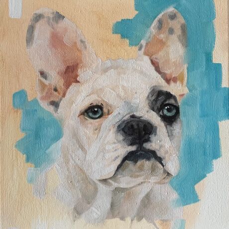 French Bulldog head portrait