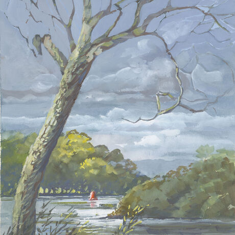 A single tree in the foreground with a grey stormy sky over the water and sunlight on the background bush. and a red buoy in the water.