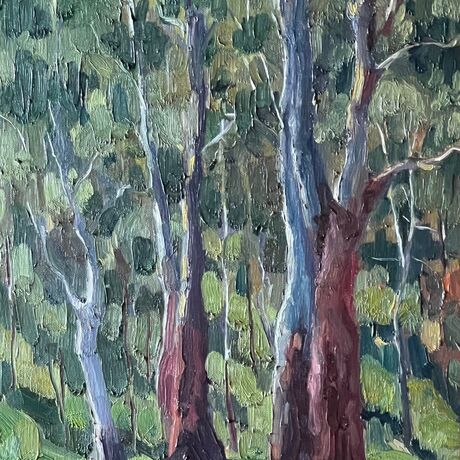 This paintings depicts dense Australian bush on the outskirts of Melbourne in strong morning light. I has a range of trees casting long shadows on the grasses in this hilly area.