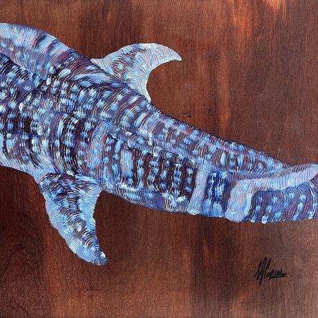 Whale shark detail, painted on oils on stained wood 