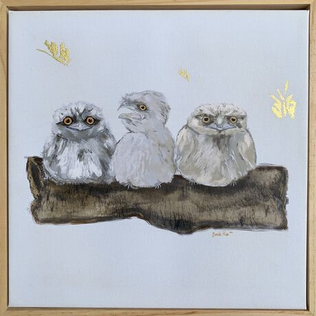 Three baby Tawny Frogmouth birds resting on a large tree branch as a golden moth flutters past. 