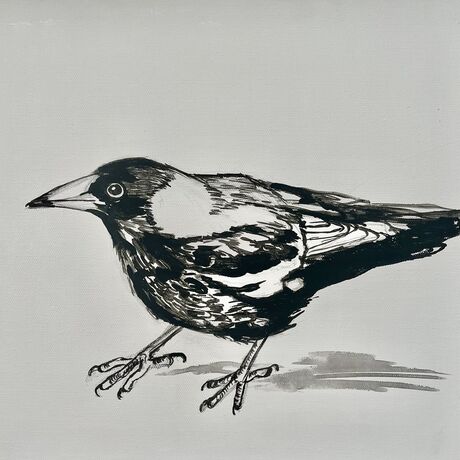 Critical magpie in black-and-white on small can canvas