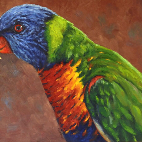 Portrait of bright and colourful rainbow lorikeet