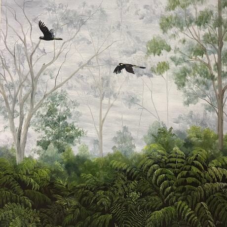 Black cockatoos fly over gum trees and tree ferns on a cloudy day