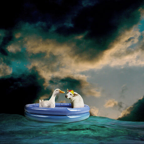 Inseparable. a Duck and  Dog in a raft at sea. 