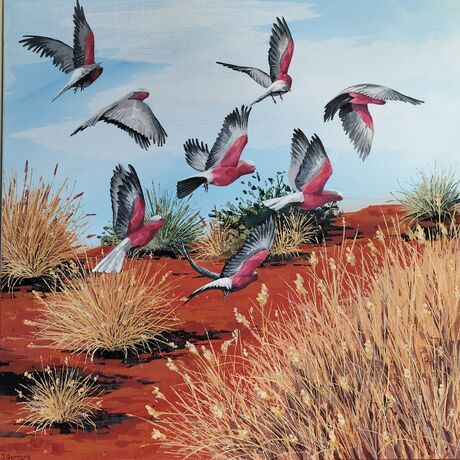 A flock of galahs taking flight