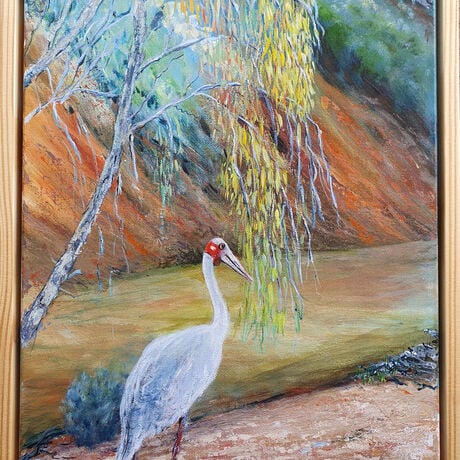 Brolga on red gravel  tree lined river bed.