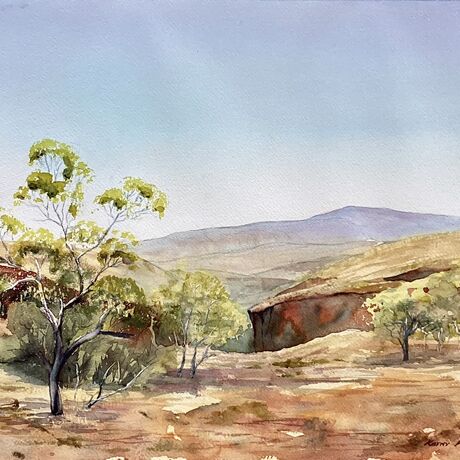 Red gorge, golden country, sparse gum trees, clear sky, distant ranges. Vast landscape