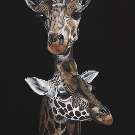 Protection is an original acrylic painting of a mother giraffe and her offspring by Anne-Marie Bloor