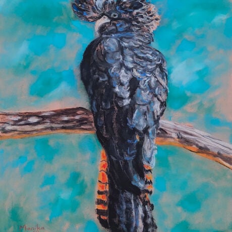 this artwork depicts the beauty of an Australian native bird of the Cacatuidae family, our stunning  female black cockatoo sitting on a branch with a come hither look in her eyes against a background of aqua.