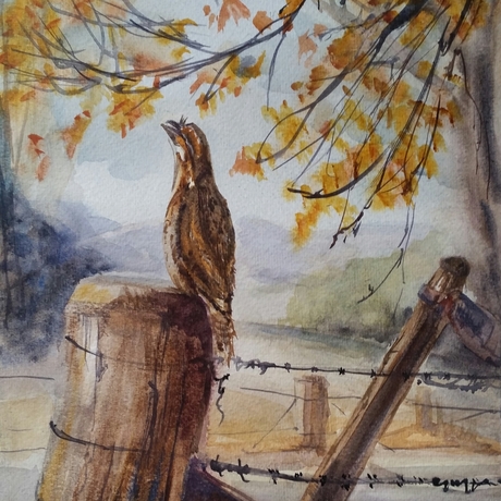 (CreativeWork) Tawny in the Autumn by Helen Elphinstone - King. Watercolour. Shop online at Bluethumb.