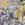 mauve and yellow botanical patterns