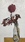 Pink flower in a glass bottle