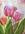 (CreativeWork) tulip delight by Hilde Marsh. Watercolour. Shop online at Bluethumb.