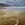 sea foam on wet sand, Lorne beach