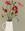 Red flowers in a white jug