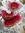 Red flowers of Eucalyptus rhodantha (Rose Mallee) surrounded by silver grey foliage