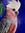 Fun and colourful expression of an Australian galah which would brighten up any room.