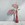 Dark pink flowering gum in a tall thin red glass jug on a white striped tablecloth against a grey background.