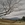 Tree and paddocks in the Tasmanian midlands 