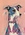 Whippet dog with cute face painted in brights colours of pink blue and aqua