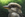 Portrait of a Kookaburra