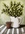 Green foliage in a white jug beside a brown glass tea light holder on a striped cloth with a neutral background.