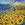 Beautiful Giclee print of sunflower fields  from original painting by the artist