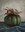 A pink protea flower stacked on a green pumpkin on a navy blue table cloth with a grey background.