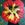 The artwork shows a nasturtium red flower with dark green leaves at the background.