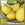 Bowl of happy bright lemons on a checkered table cloth still life.