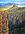 Semi-desert Karoo area with distinctive flat-topped sandstone mountain ranges surrounded by broad plains